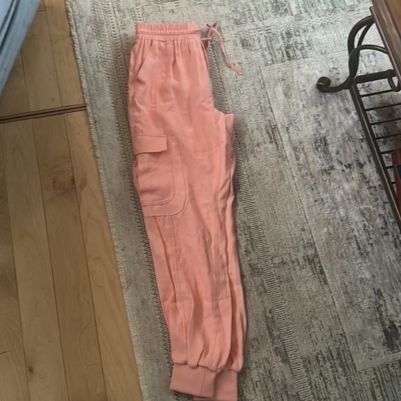 Jogger - Picture 3 of 3